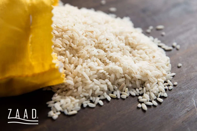 برنج کارولینا طلایی (Carolina Gold) – آمریکا