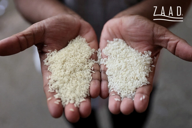 تفاوت برنج کهنه و تازه چیست؟