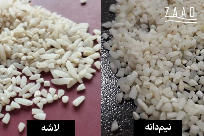 تشخیص برنج لاشه از نیمدانه
