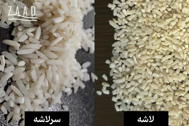 تفاوت برنج لاشه و سر لاشه چیست؟