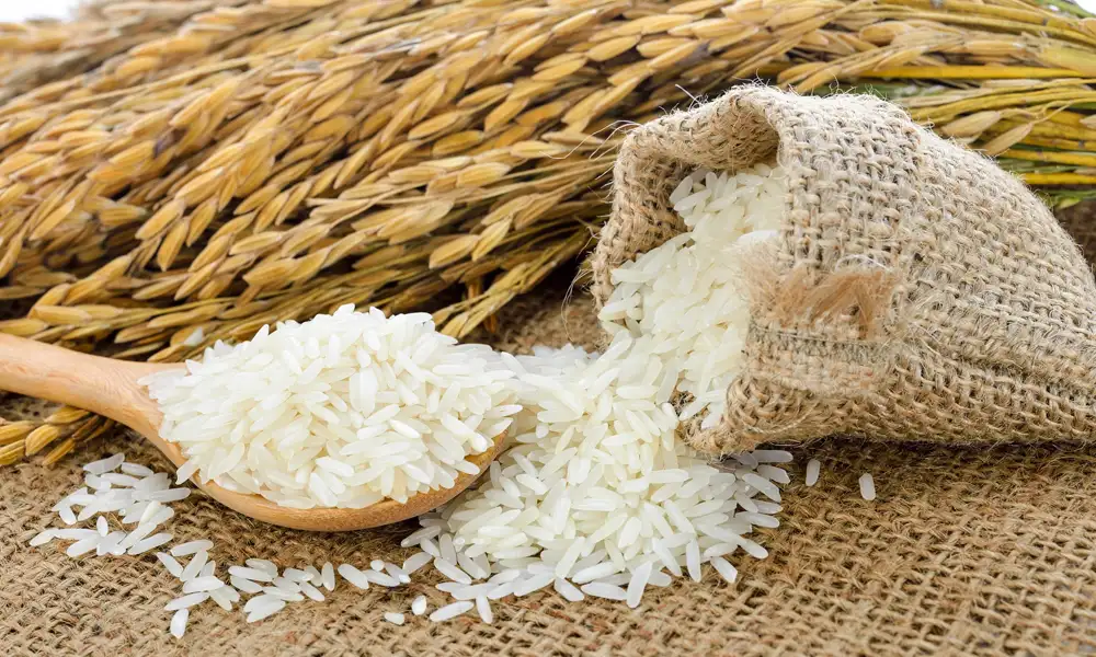 انواع برنج ایرانی