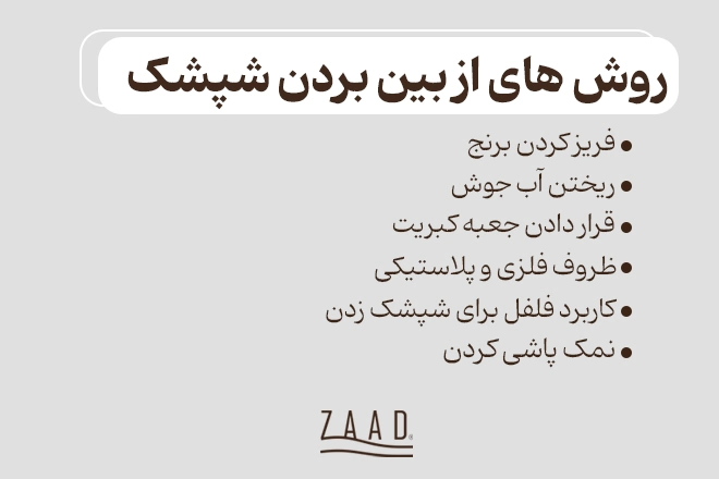 راه های از بین بردن شپشک برنج