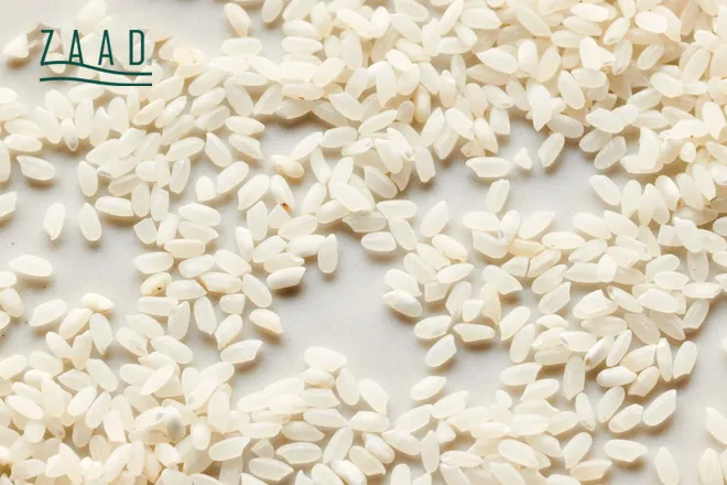 طبخ برنج چمپا