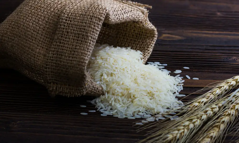 خوش عطرترین برنج ایرانی