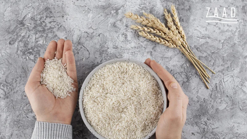 خرید برنج کشت دوم