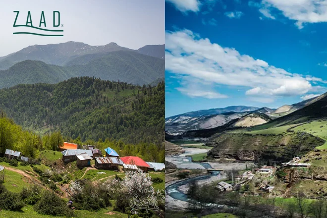 مقایسه برنج گیلان و مازندران