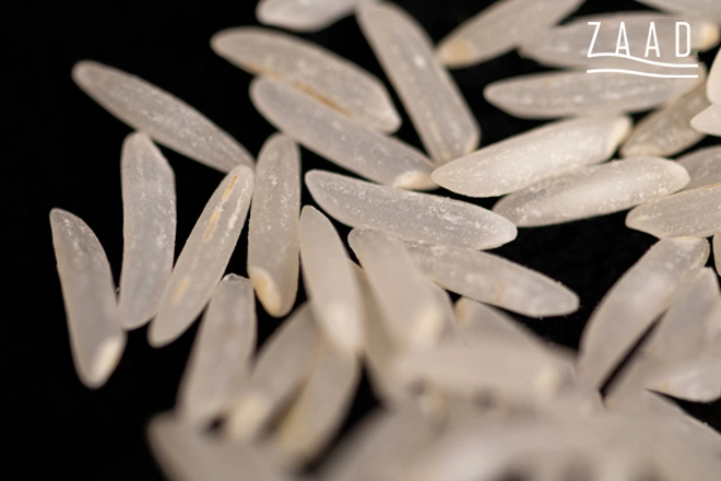 برنج طارم فجر چیست