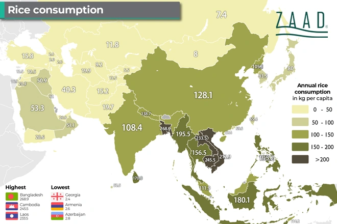 کشور های کشت برنج