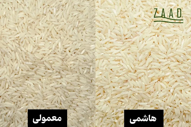 تفاوت برنج هاشمی و معمولی