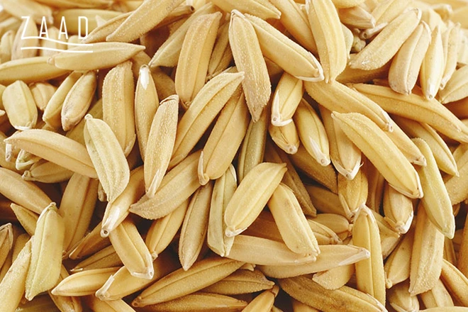 بذر برنج هاشمی