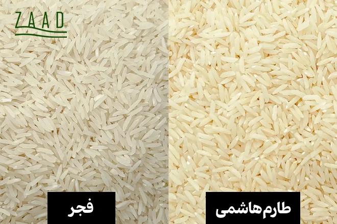مقایسه برنج فجر و برنج طارم هاشمی
