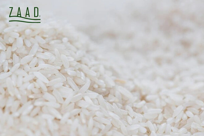 برنج شیرودی یا فجر