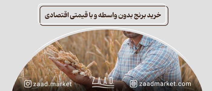 قیمت برنج ایرانی