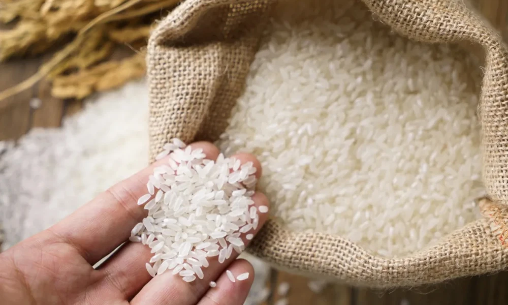 صادرات برنج ایرانی