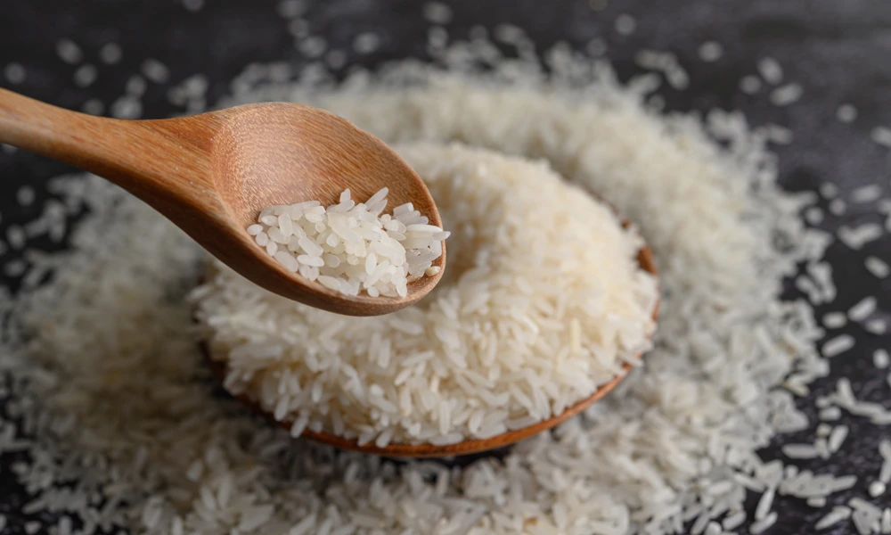 نحوه کاشت برنج هاشمی