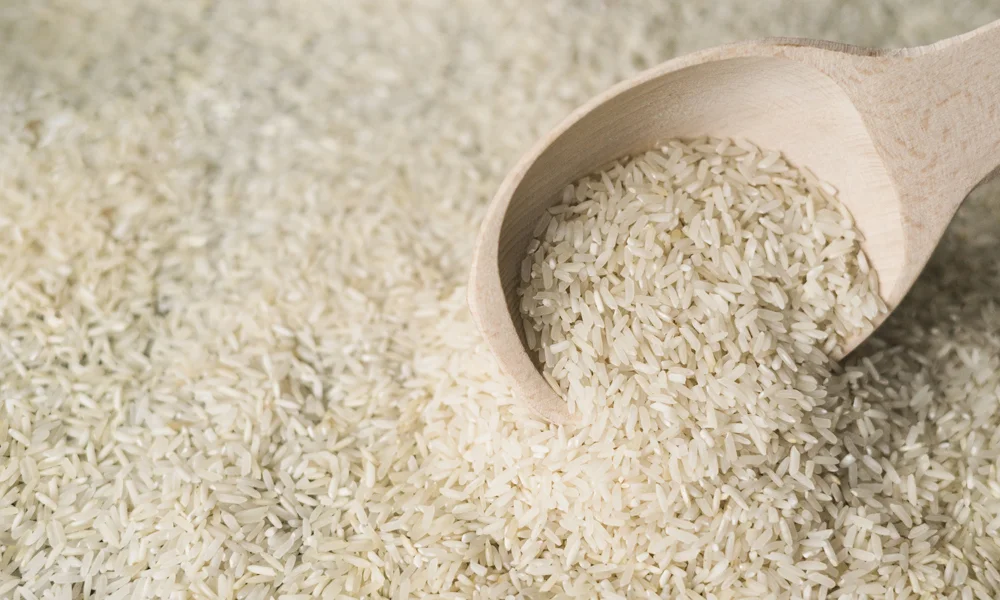 برنج فجر چیست
