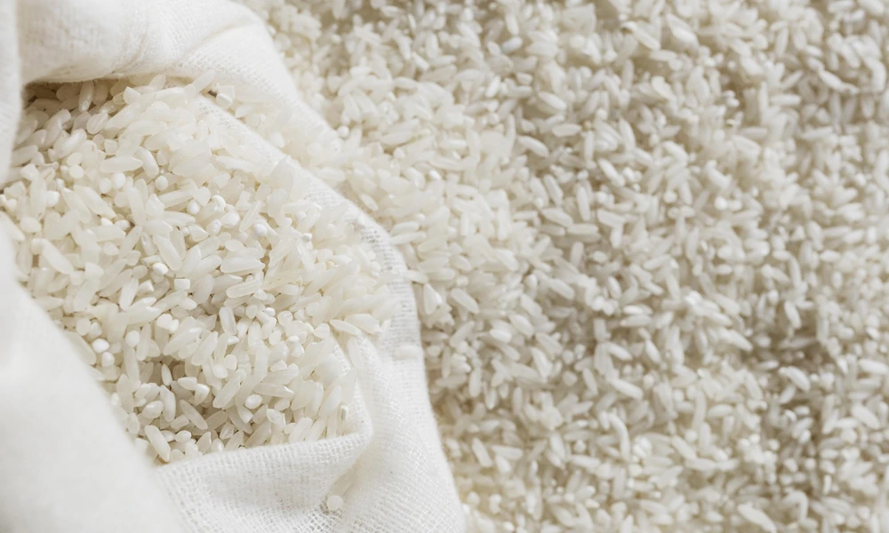 تفاوت برنج فجر با شیرودی