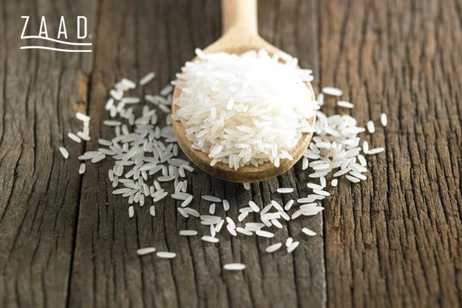 برنج ایرانی شیرودی چیست؟