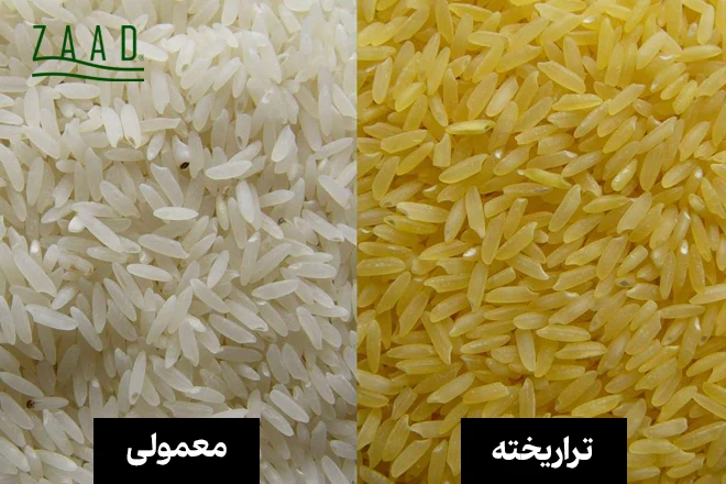 تشخیص برنج تراریخته ایرانی
