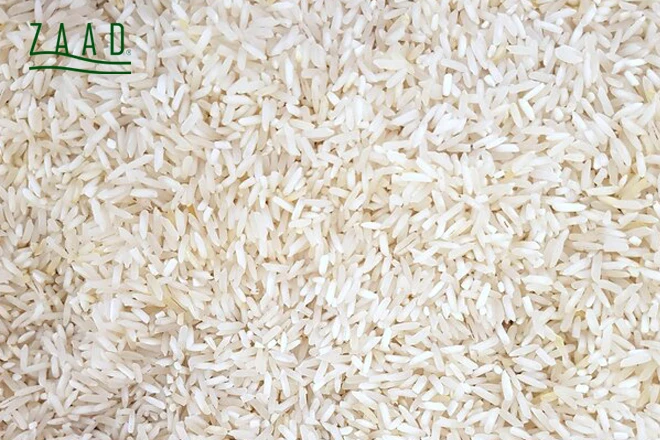 قیمت برنج شیرودی