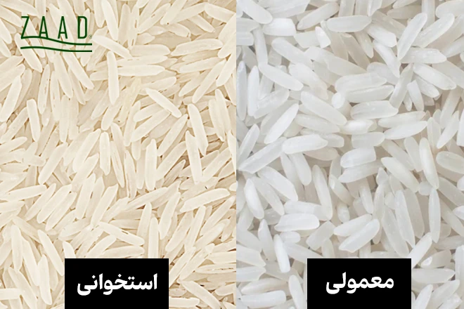تفاوت برنج استخوانی و برنج معمولی