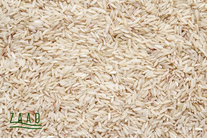 تفاوت کشت برنج ایرانی و باسماتی