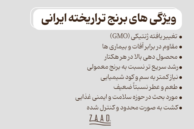 ویژگی های برنج تراریخته ایرانی