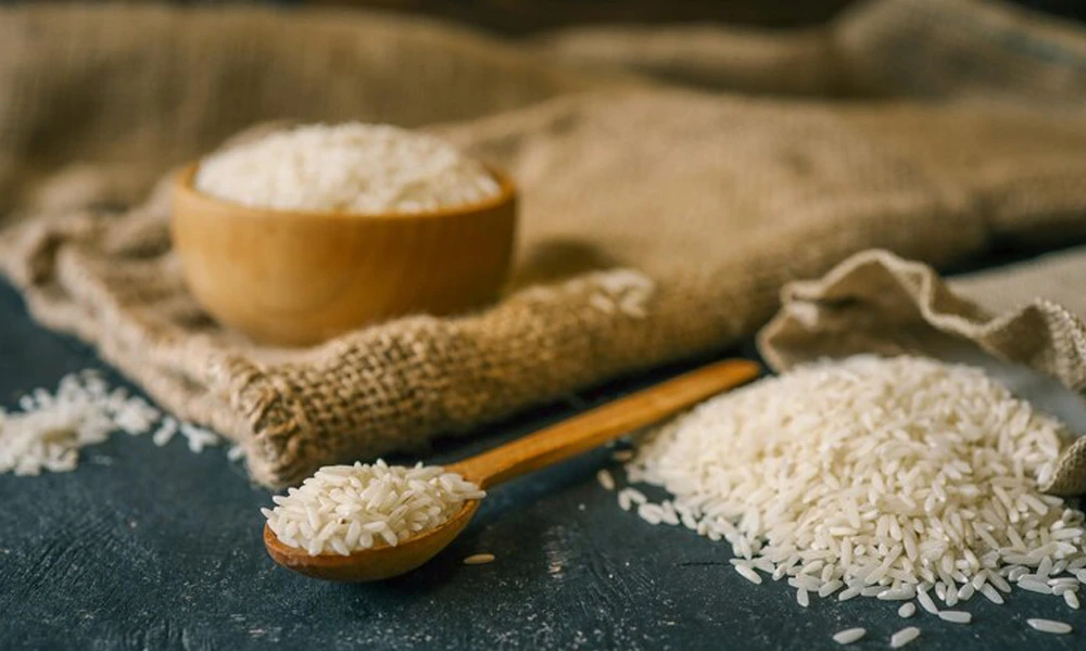 برنج شیرودی چیست؟