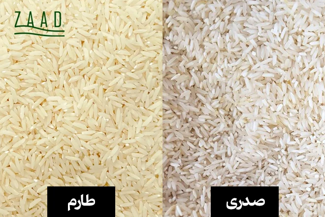 مقایسه برنج صدری و طارم از نظر ظاهر