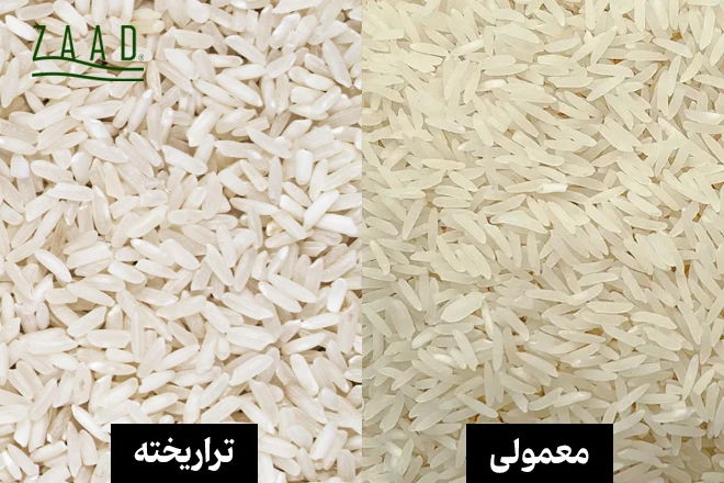 تفاوت برنج فجر تراریخته و برنج فجر معمولی