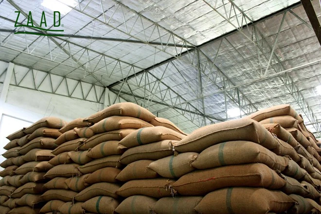 نگهداری برنج هاشمی در انبار