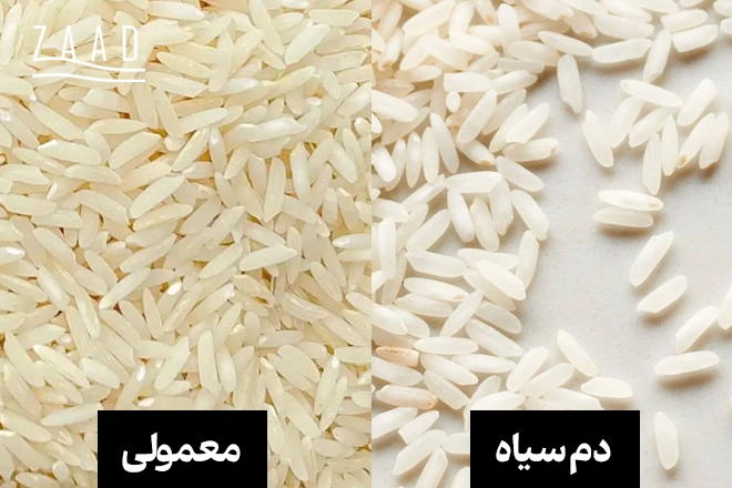 تفاوت برنج دم سیاه و برنج معمولی