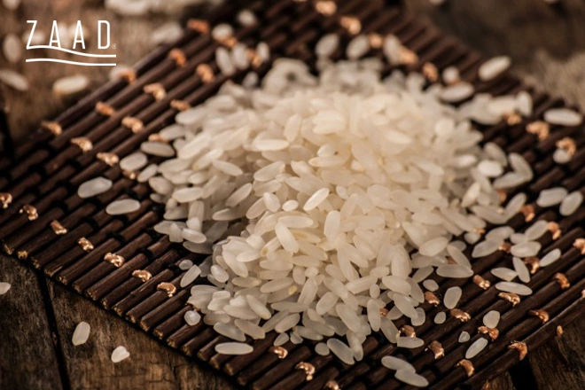 دانه های برنج فجر تراریخته