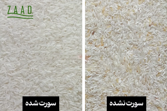 تفاوت برنج سورت شده با برنج معمولی