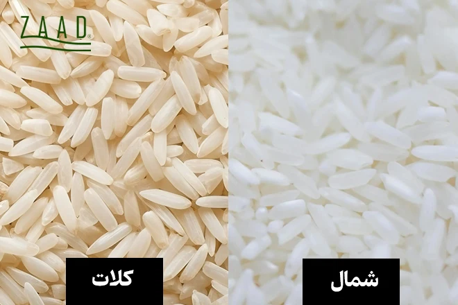 مقایسه ظاهری برنج کلات و برنج شمال