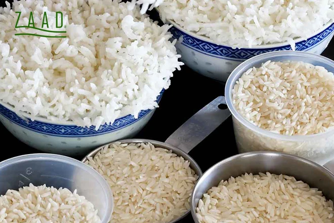 ظرف برای نگهداری برنج